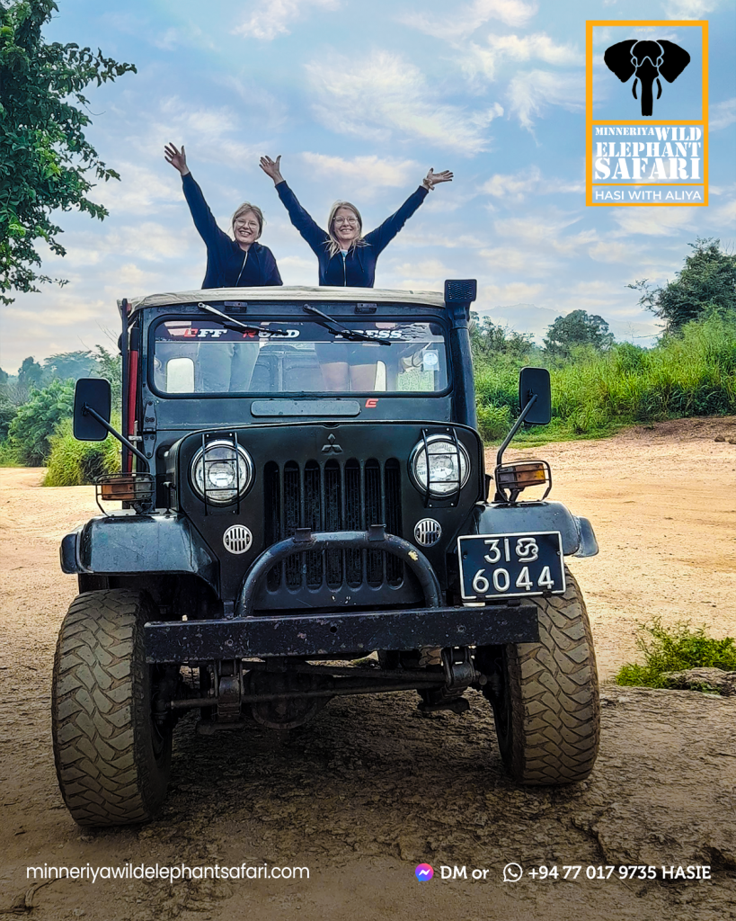 Minneriya national park safri hasi with aliya