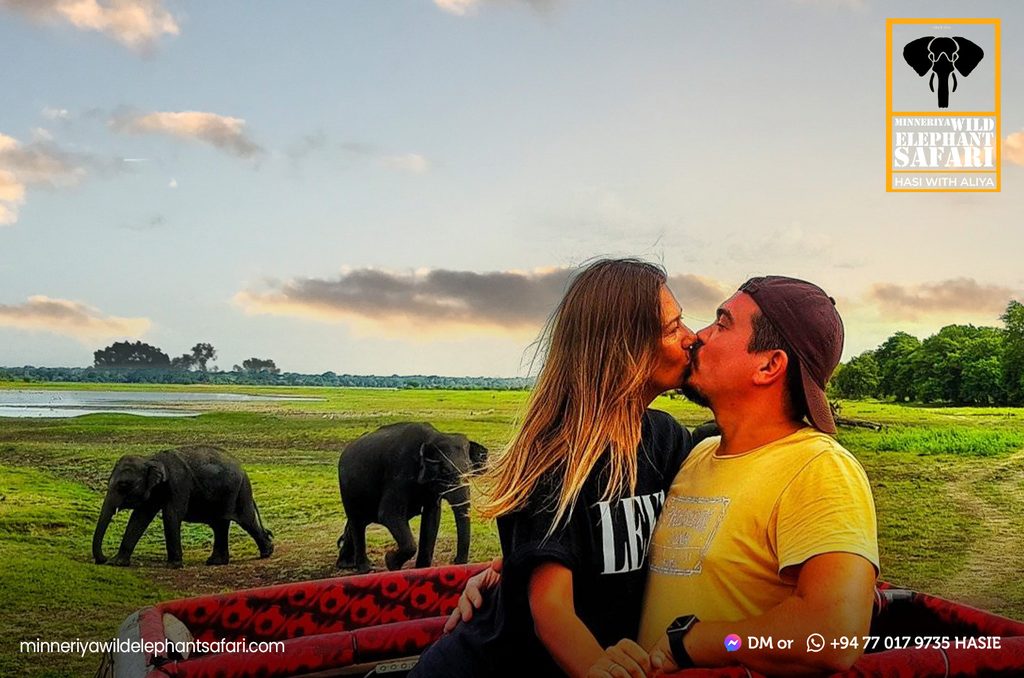 minneriya-wild-elephant-safari